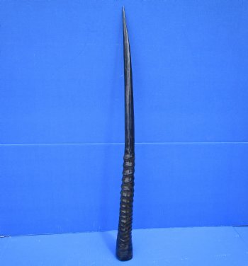 29-1/2 inches <font color=red> Polished</font> African Gemsbok Horn for Sale for $44.99