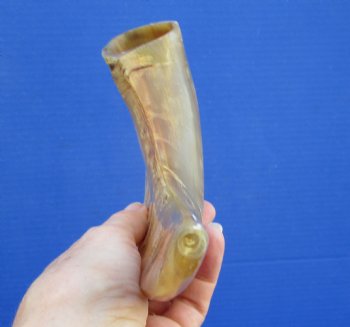 10 inches Polished Sheep, Ram's Horn Shofar for $14.99