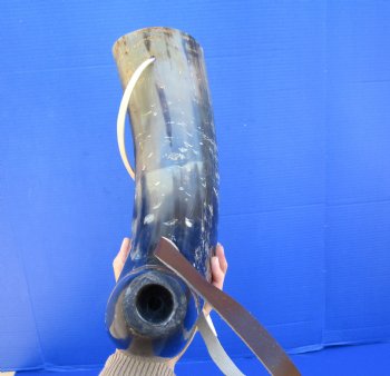 24-1/2 inches Large Viking War Horn, Buffalo Blowing Horn with Leather Strap - Buy this one for $39.99