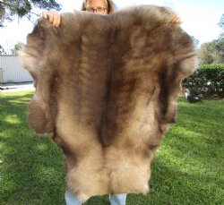 Reindeer Hide, Skin, Without Legs, 42 by 38 Inches - Buy this one for $99.99