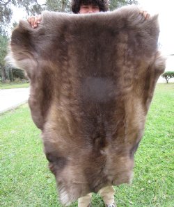Finland Reindeer Hide, Skin, Without Legs, 46 by 37 Inches - Buy this one for $99.99