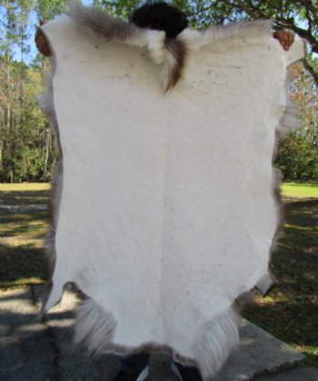 Finland Reindeer Hide, Skin, Fur 44 by 44 inches for $149.99