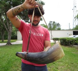 19-1/2 inches Large Viking War Horn, Buffalo Blowing Horn with Leather Strap - Buy this one for $32.99