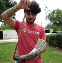 17 inches Large Viking War Horn, Buffalo Blowing Horn with Leather Strap - Buy this one for $32.99