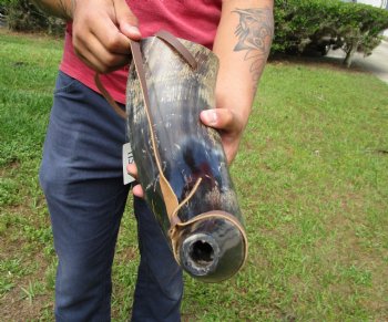 17 inches Large Viking War Horn, Buffalo Blowing Horn with Leather Strap - Buy this one for $32.99