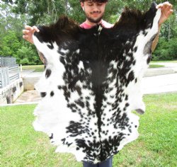 Black and White Goat Hide, Skin 43 by 30 inches for $44.99