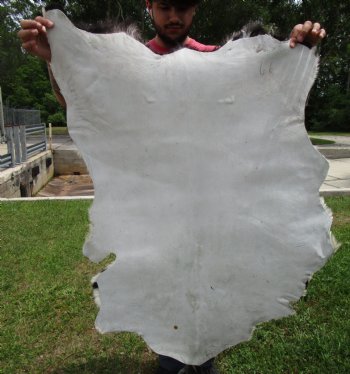 Black and White Goat Hide, Skin 43 by 30 inches for $44.99