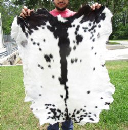 Black and White Goat Hide, Skin 40 by 33 inches for $44.99