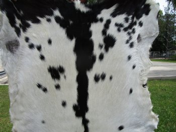 Black and White Goat Hide, Skin 40 by 33 inches for $44.99