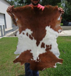 Rust and Cream Colored Goat Hide, Skin 39 by 29 inches for $44.99
