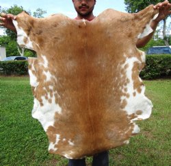 Burnt Orange and Cream Goat Hide, Skin 39-1/2 by 34-1/2 inches for $44.99