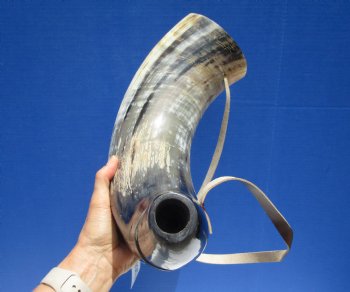 22 inches Extra Large Viking War Horn, Buffalo Blowing Horn with Leather Strap - Buy this one for $39.99
