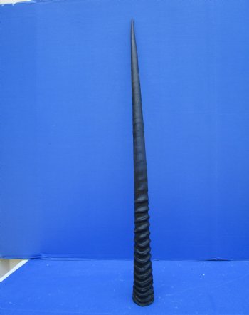 34-1/2 inches Large Gemsbok Horn for Sale, Oryx Horn for $33.99