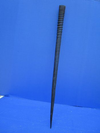 34-1/2 inches Large Gemsbok Horn for Sale, Oryx Horn for $33.99