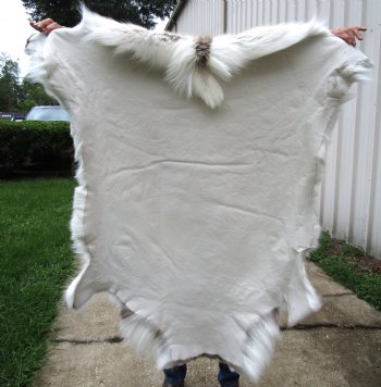Finland Reindeer Hide, Skin, Fur with Blend of Tans, Brown, White 45 by 45 inches for $144.99