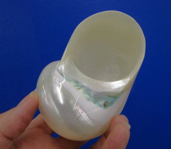 4 inches Large White Pearl Turban Shell - Buy this one for $14.99