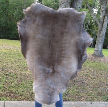 46-1/2 by 37 inches Finland Reindeer Hide, Skin, Fur, Without Legs, Grade B 