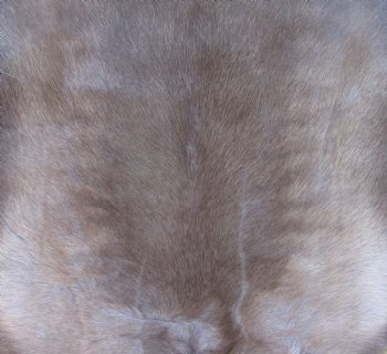 46-1/2 by 37 inches Finland Reindeer Hide, Skin, Fur, Without Legs, Grade B 