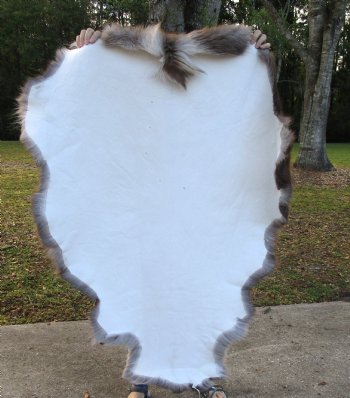 48 by 38 inches Authentic Reindeer Skin, Hide, Fur, Grade B 