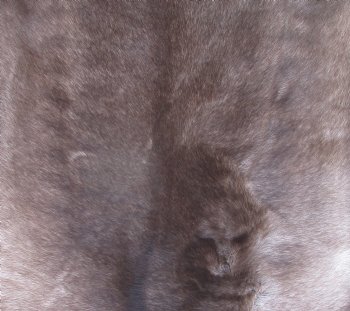 Finland Reindeer Hide, Skin, Without Legs, with Dark Brown, Tan and White Fur, 46" by 34" 