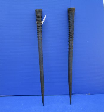 2 African Gemsbok Horns, Oryx Hons for Sale 29-3/4 inches long - Buy these for $30.00 each