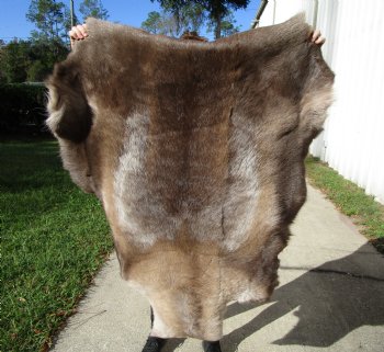 46 by 36 inches Finland Reindeer Hide, Skin, Fur, Without Legs, Grade B  