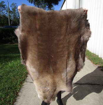 47 by 36 inches Finland Reindeer Hide, Skin, Fur, Without Legs, Grade B 
