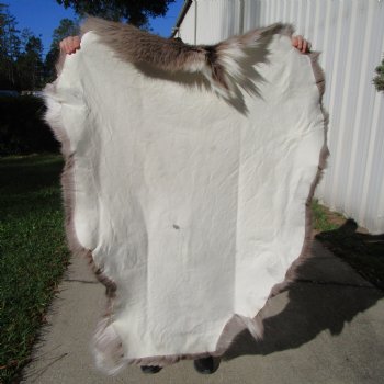 45 by 34 inches Finland Reindeer Hide, Skin, Fur, Without Legs, Grade B  