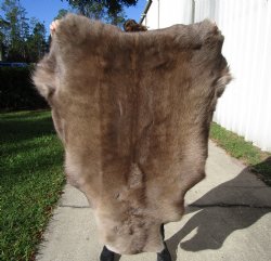 47 by 37 inches Finland Reindeer Hide, Skin, Fur, Without Legs, Grade B 