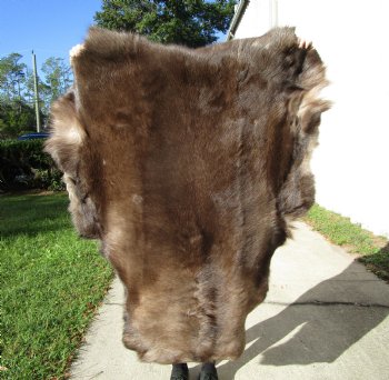Finland Reindeer Hide, Skin, Without Legs, with Brown, Tan, Gray and White Fur, 47 by 36 inches