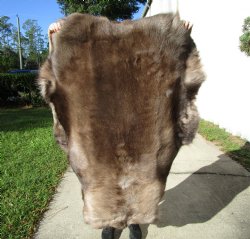 Finland Reindeer Hide, Skin, Without Legs, with Deep Brown and Tan Fur, 47 by 35 inches