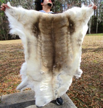 Finland Reindeer Hide, Skin, Fur with Blend of Tans, Brown, White, 46 by 43 inches for $144.99