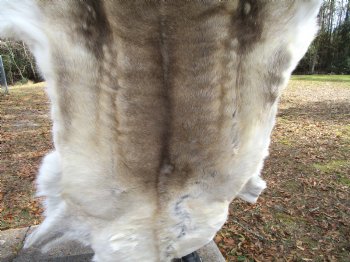Finland Reindeer Hide, Skin, Fur with Blend of Tans, Brown, White, 46 by 43 inches for $144.99