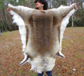 Finland Reindeer Hide, Skin, Fur with Blend of Tans, Brown, White, 51 by 45 inches for $144.99