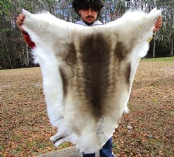 Finland Reindeer Hide, Skin, Fur with Blend of Tans, Brown, White, 47 by 41 inches for $144.99