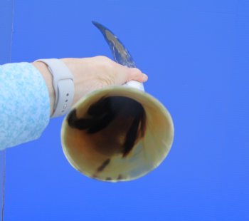 23-1/2 inches Polished Cow Horn, Black, White, Tan and Gray - Buy this one for $39.99