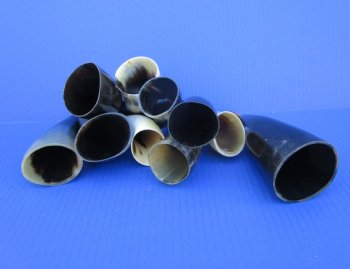 Ten Polished Cow Horns 5-1/2 to 7-1/2 Inches for $3.60 each