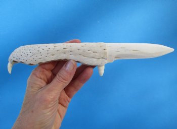 9-3/4 inches Alligator Jaw Bone Knife - Buy this one for $24.99