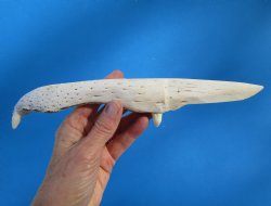 10-3/4 inches Alligator Jaw Bone Knife Novelty - Buy this one for $29.99
