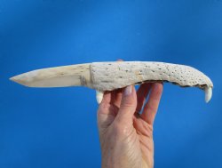 10-3/4 inches Alligator Jaw Bone Knife Novelty - Buy this one for $29.99