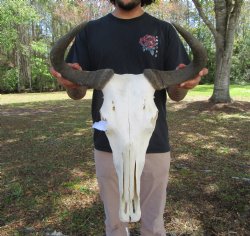 18-1/2 inches wide ...