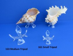 Acrylic 3 leg Egg Display Stands for Sale - #161 <font color=red>Small</font> - 12 @ $1.35 each;  #163 <font color=red>  Medium </font> 12 @ $1.95 each (Shells NOT Included)