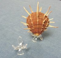 Acrylic 3 leg Egg Display Stands for Sale - #161 <font color=red>Small</font> - 12 @ $1.35 each;  #163 <font color=red>  Medium </font> 12 @ $1.95 each (Shells NOT Included)