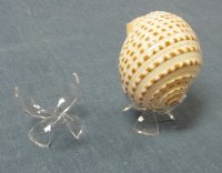 Acrylic 3 leg Egg Display Stands for Sale - #161 <font color=red>Small</font> - 12 @ $1.35 each;  #163 <font color=red>  Medium </font> 12 @ $1.95 each (Shells NOT Included)