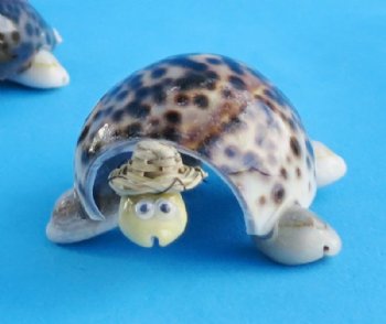3 inches Bobbing Head Tiger Cowry Shell Turtle Novelty Wearing a Hat -12 @ $1.44 each