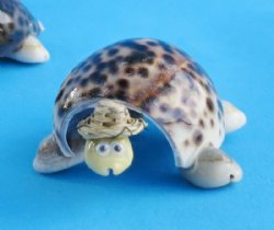3 inches Bobbing Head Tiger Cowry Shell Turtle Novelty Wearing a Hat -12 @ $1.44 each