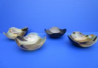 4-1/4 inches Horn Bowl with a Wavy Edge - $10.99 each; <font color=red> CLOSEOUT PRICING</FONT> 2 @ $6.40 each; 8 @ $5.60 each