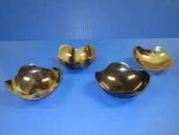 4-1/4 inches Horn Bowl with a Wavy Edge - $10.99 each; <font color=red> CLOSEOUT PRICING</FONT> 2 @ $6.40 each; 8 @ $5.60 each