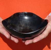 6 inches Horn Bowl with Wavy Edge - $19.20 each <font color=red> CLOSEOUT SALE </FONT> 2 $ 9.60 EACH; 8 @ $8.65 EACH