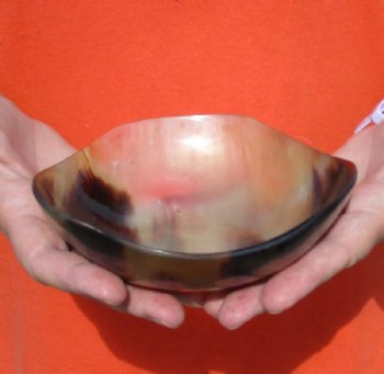 6 inches Horn Bowl with Wavy Edge - $19.20 each <font color=red> CLOSEOUT SALE </FONT> 2 $ 9.60 EACH; 8 @ $8.65 EACH